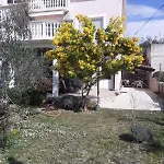 Sara Apartamento