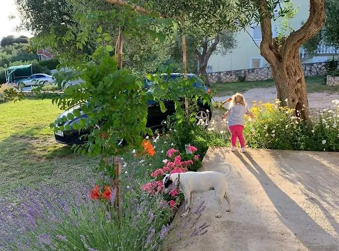 Sara Поседарье