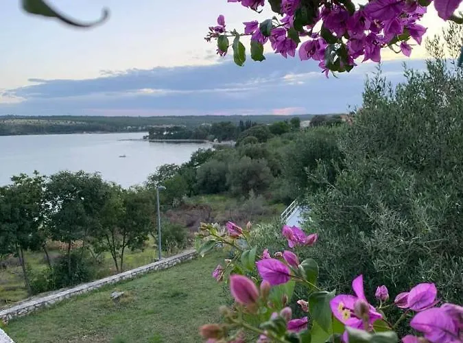 Sara * Поседарье