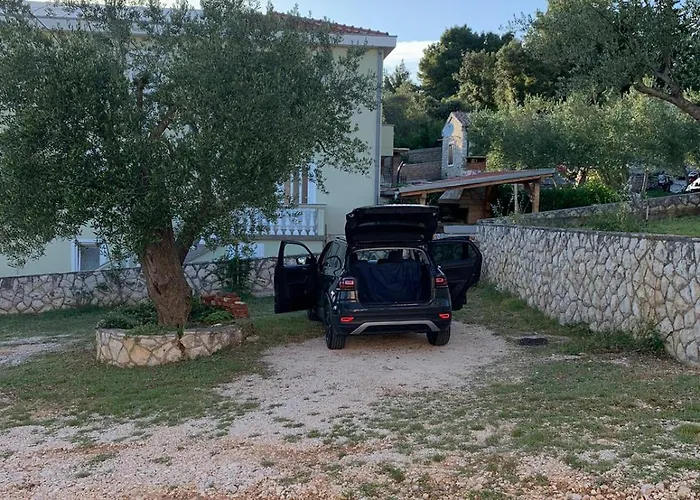 Sara * Поседарье