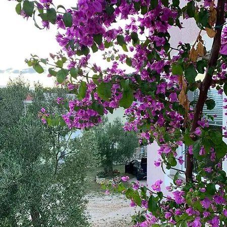 Sara Apartamento Posedarje