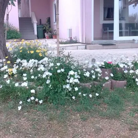 Apartamento Sara Posedarje