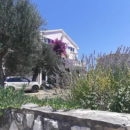 Sara بوسيدارجي