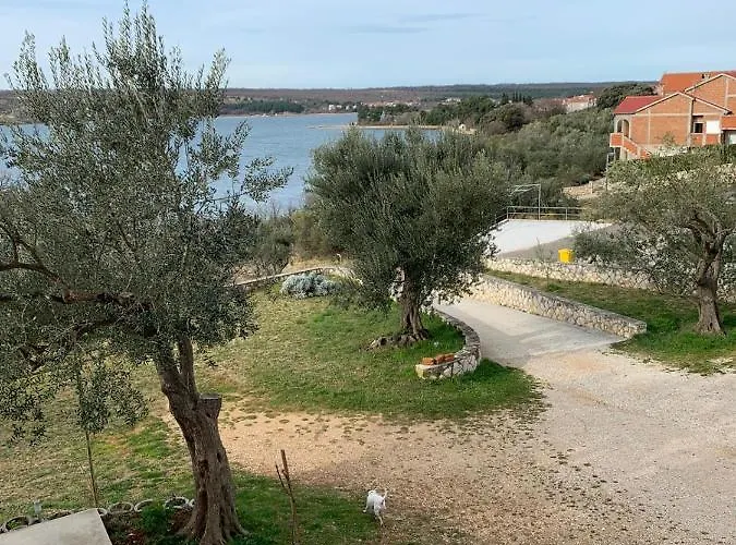 Sara Apartmán Posedarje