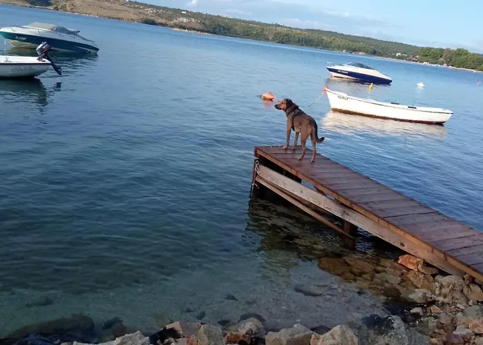 Apartmán Sara Posedarje